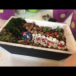 Meet your Posher, Kat